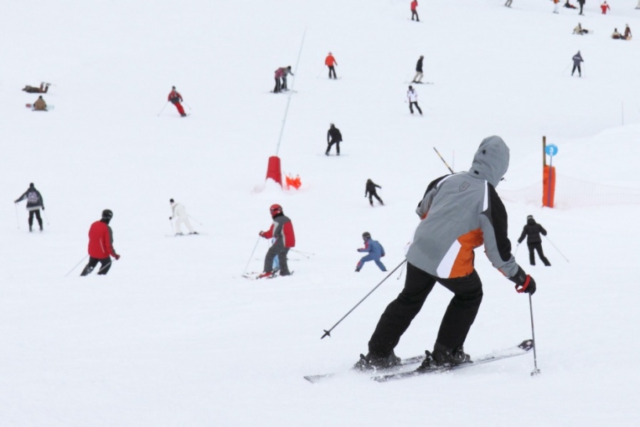 Зубры, лыжи, родники: интернет-детокс в Ленобласти