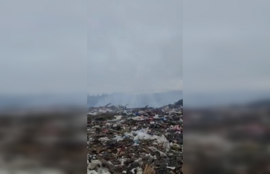Открытое горение на полигоне «Вырицкий» под Гатчиной ликвидировали