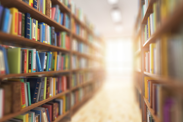 Ленобласть ждет средства из госбюджета на уникальную библиотеку во Всеволожске | ИА Точка Ньюс