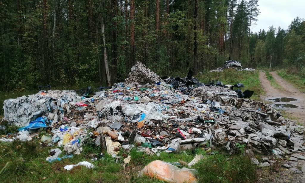 Пресс-служба государственного экологического надзора Ленинградской области