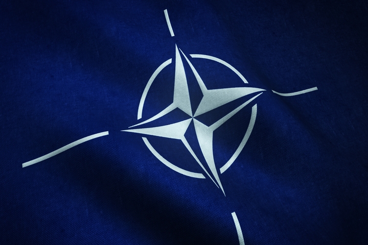 «Одесса необходима»: НАТО готовит ударный кулак в Румынии, действовать надо быстро – эксперт  