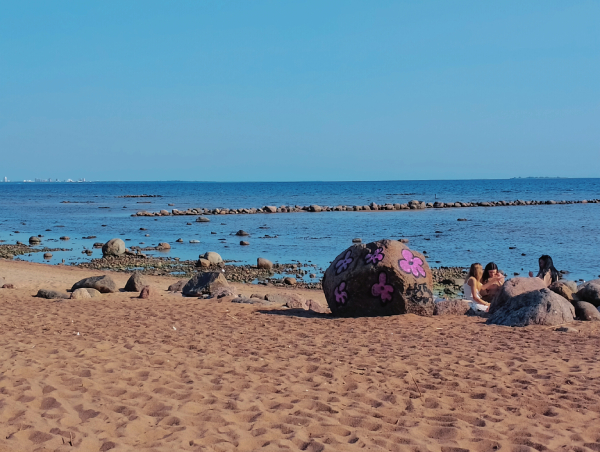 Литература, фалафель и русалки: спасаемся от жары в Комарово