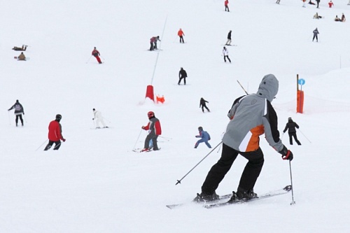 Зубры, лыжи, родники: интернет-детокс в Ленобласти | ИА Точка Ньюс