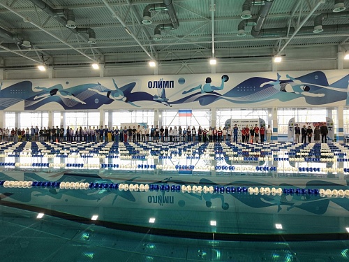 Более 200 пловцов собрал чемпионат Ленобласти по плаванию в Кингисеппе | ИА Точка Ньюс