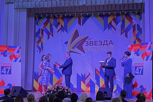 Победителей конкурса «Звезда культуры» чествовали в Новоселье | ИА Точка Ньюс