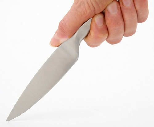 Житель Всеволожска получил ножом от сына в ходе ссоры с супругой | ИА Точка Ньюс