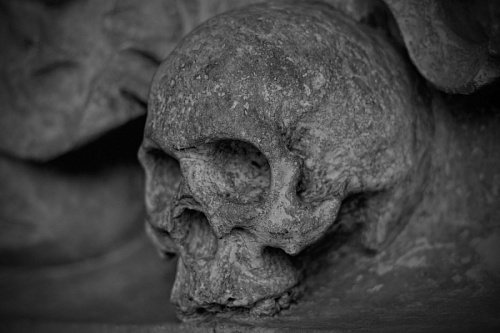 Пакет с черепом нашли за церковью под Всеволожском | ИА Точка Ньюс