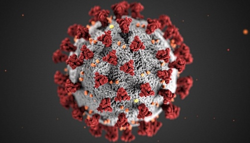 Прибытие назальной вакцины от коронавируса ждут в Ленобласти | ИА Точка Ньюс