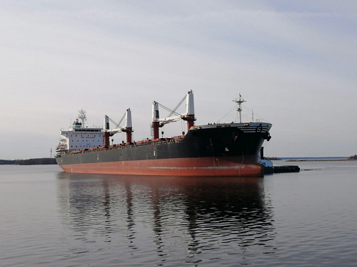 Более 27 тыс. тонн зерна отправили в Тунис из порта Высоцк в Ленобласти | ИА Точка Ньюс