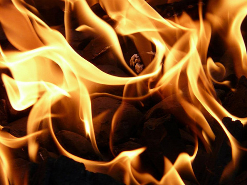 Дом и две хозпостройки тушили 12 пожарных в Кингисеппском районе | ИА Точка Ньюс