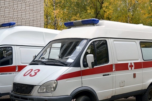 ДТП с деревом в Сланцах привело двух подростков на больничные койки | ИА Точка Ньюс