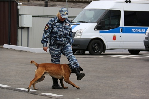 Кинологи с собаками вернулись из командировки на Донбассе в Ленобласть | ИА Точка Ньюс
