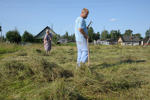 Ленобласть предложила фермерам грантовые проекты на 80 млн рублей | ИА Точка Ньюс