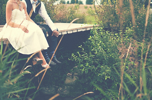 Жители Ленобласти предпочитают жениться на пятом десятке лет | ИА Точка Ньюс