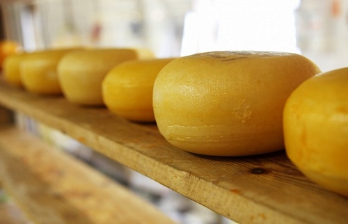 Завод по производству сыра построят в Гатчинском районе за 152 млн рублей | ИА Точка Ньюс
