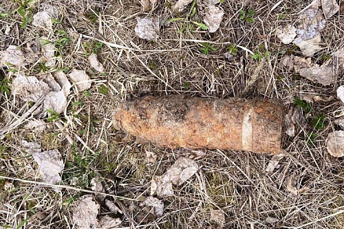 Взрывотехники уничтожили более десяти снарядов на полигоне в Ленобласти с начала мая | ИА Точка Ньюс