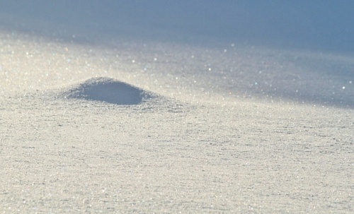 Снежный покров на востоке Ленобласти вырос до 79 сантиметров | ИА Точка Ньюс