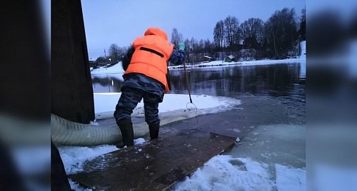 Выращенные под Всеволожском 80 тыс. мальков лосося выпустили в Неву | ИА Точка Ньюс