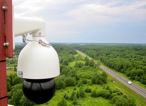 Камеры видеонаблюдения охватывают более 90 % земель лесного фонда Ленобласти | ИА Точка Ньюс
