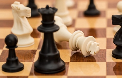 Кингисеппский шахматист выиграл турнир по блицу «Летний Тихвин» | ИА Точка Ньюс