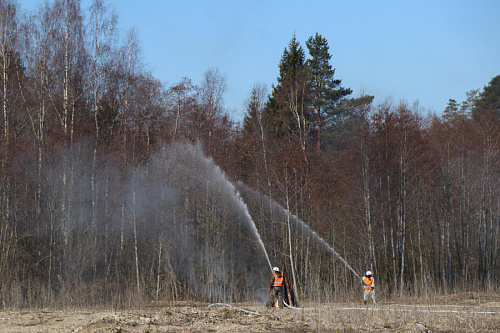 Свыше 400 лесных пожаров зафиксировали в 2021 году в Ленобласти | ИА Точка Ньюс
