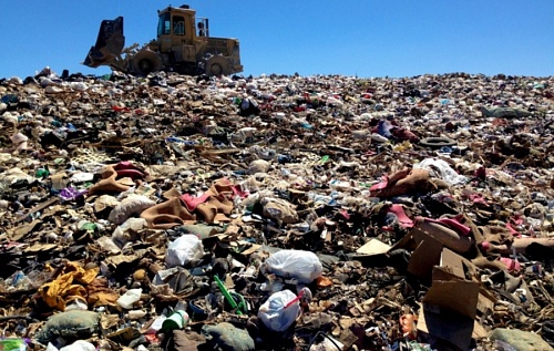 Сортировка всех отходов в Ленобласти станет возможной к 2025 году | ИА Точка Ньюс