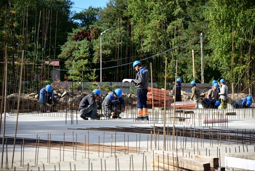 Обновленная смотровая площадка появится в парке «Липово» в Сосновом Бору | ИА Точка Ньюс