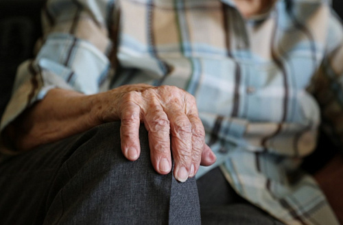 Волонтеры разыскивают 84-летнего пенсионера в Кингисеппе | ИА Точка Ньюс