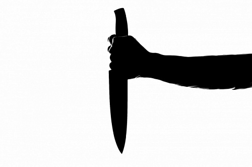 Житель поселка под Киришами забил насмерть ножом гостя | ИА Точка Ньюс