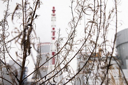 Проект новой очереди Ленинградской АЭС соответствует экологическим требованиям | ИА Точка Ньюс