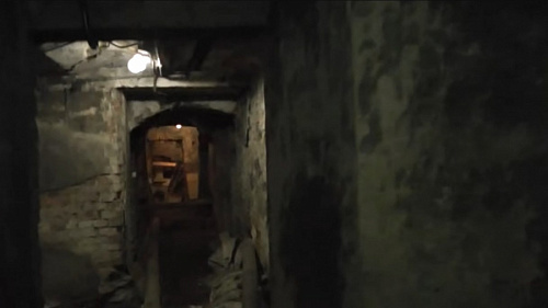 Из подземелья в приют: дети-маугли из петербургского подвала все еще не видели маму. Органы опеки молчат | ИА Точка Ньюс