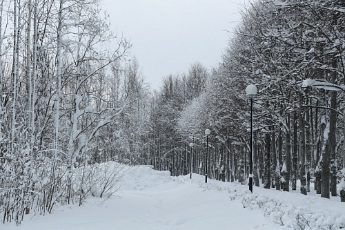 Похолодание пообещали жителям Ленобласти в последнюю субботу января | ИА Точка Ньюс