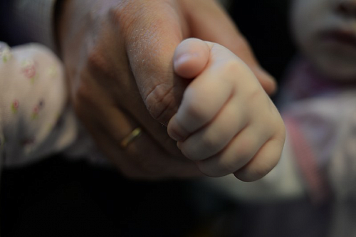 Семьям в Ленобласти могут начать выдачу сертификатов на новорожденного ребенка | ИА Точка Ньюс