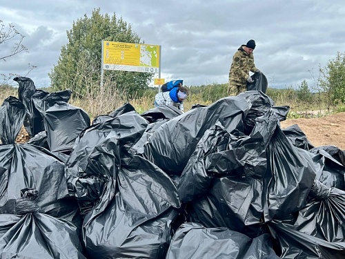 Приморский парк в Сосновом Бору стал чище на 50 мешков мусора благодаря активистам | ИА Точка Ньюс