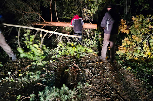 Зима предупреждает: циклон испортил выходные в Ленобласти и обрушил тысячу деревьев | ИА Точка Ньюс