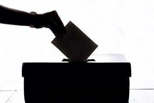 Менее 19 % жителей Ленобласти посетили выборы | ИА Точка Ньюс