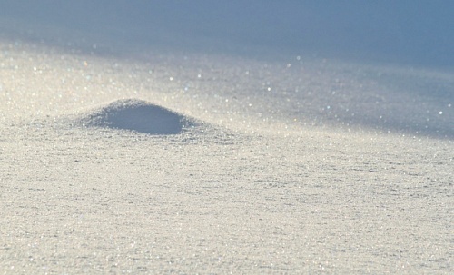 Высота выпавшего за сутки снега в Тихвине составила девять сантиметров | ИА Точка Ньюс
