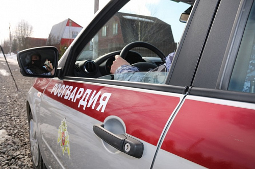 Жителя Ставропольского края задержали за взлом ворот детсада в Кингисеппском районе | ИА Точка Ньюс