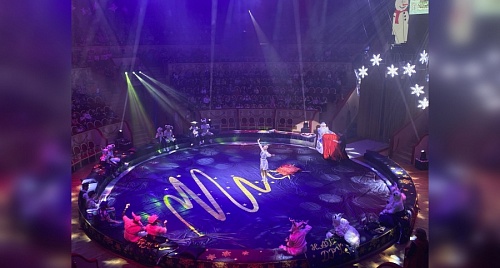 Власти Ленобласти подарили детям представление в петербургском цирке | ИА Точка Ньюс