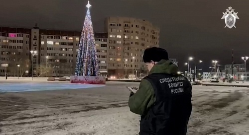 Снежные «похороны» ребенка в Гатчине привели к уголовному делу | ИА Точка Ньюс