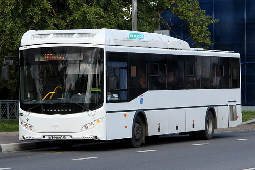 «Пишите письма»: пробы и ошибки транспортной реформы в Ленобласти  | ИА Точка Ньюс