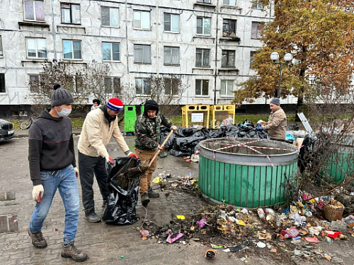 Мешочная проблема: после жалоб жителей в Кингисеппе принялись убирать мусор с улиц | ИА Точка Ньюс