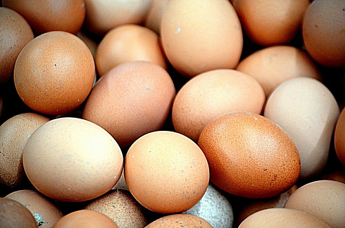 Соскабливая позолоту: в Ленобласти обещают остановить рост цен на яйца | ИА Точка Ньюс