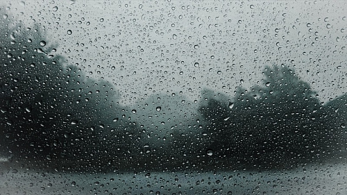 «Все призрачное»: до конца июля погода преподнесет неожиданные сюрпризы жителям Ленобласти | ИА Точка Ньюс