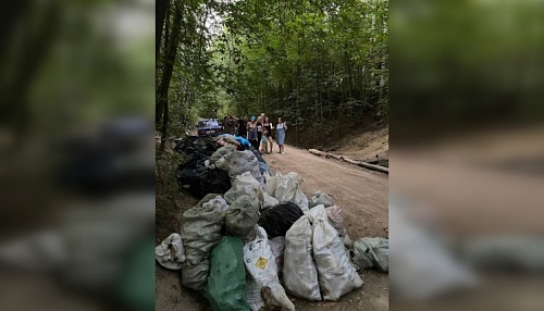 Волонтеры вынесли с берегов Пугаревского карьера в Ленобласти 100 мешков с мусором | ИА Точка Ньюс