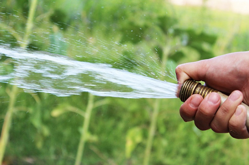 Дачникам Ленобласти могут установить двойной тариф на воду | ИА Точка Ньюс
