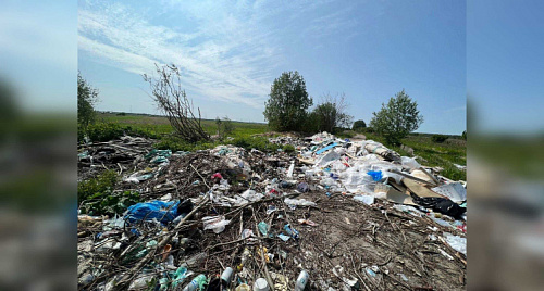 Более 130 «кубов» строительного мусора ликвидировали под Кингисеппом | ИА Точка Ньюс